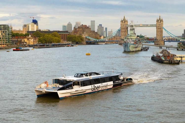 Family-Friendly Experience