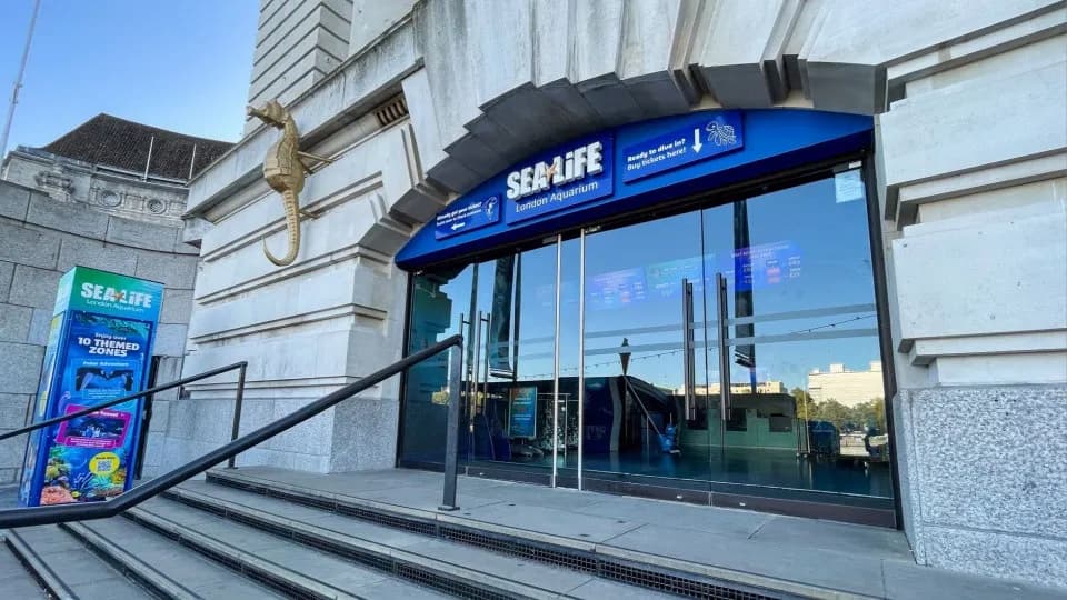 Advance Ticket: SEA LIFE London Aquarium – Entry Ticket - Image 1